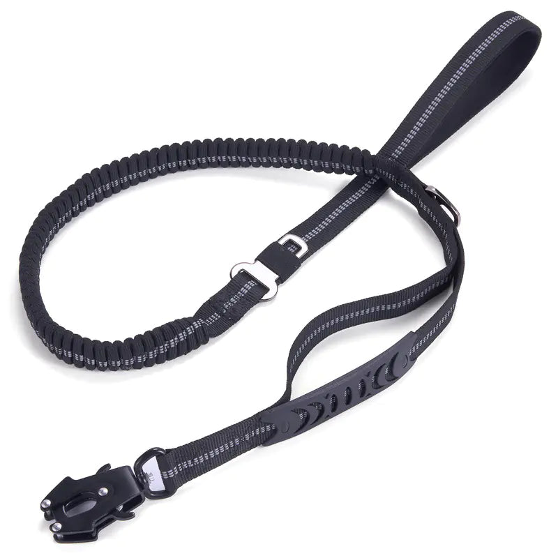 LumiPaw Reflective Safety Leash