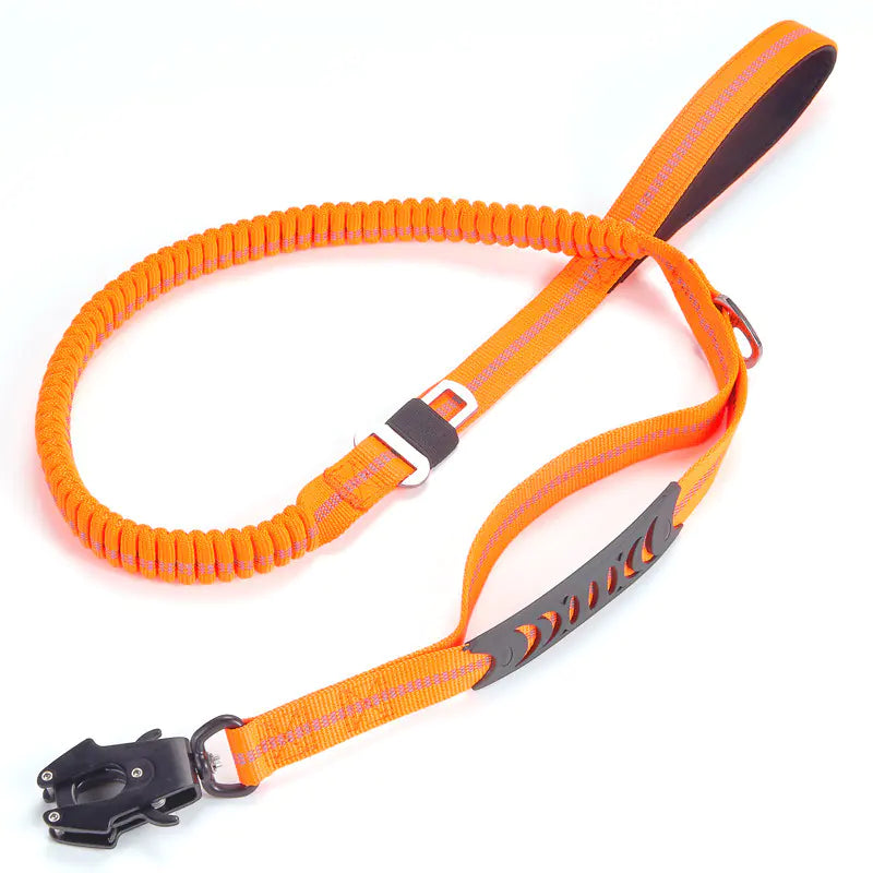 LumiPaw Reflective Safety Leash
