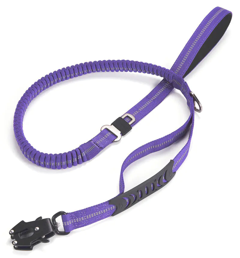 LumiPaw Reflective Safety Leash